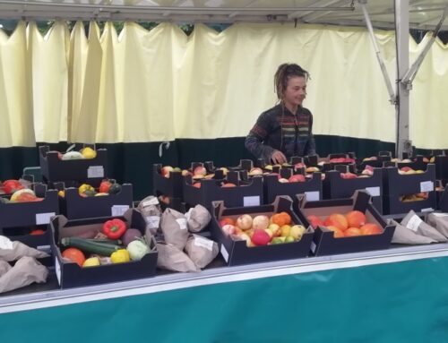 Lügde hat ein Herz für krumme Gurken